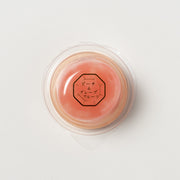 中島大祥堂 ピッコロドルチェピーチ＆グレープ | こととやオンライン