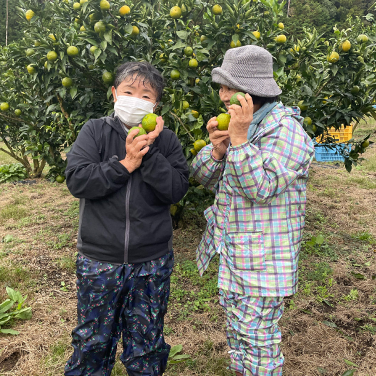 こととやオンラインストア