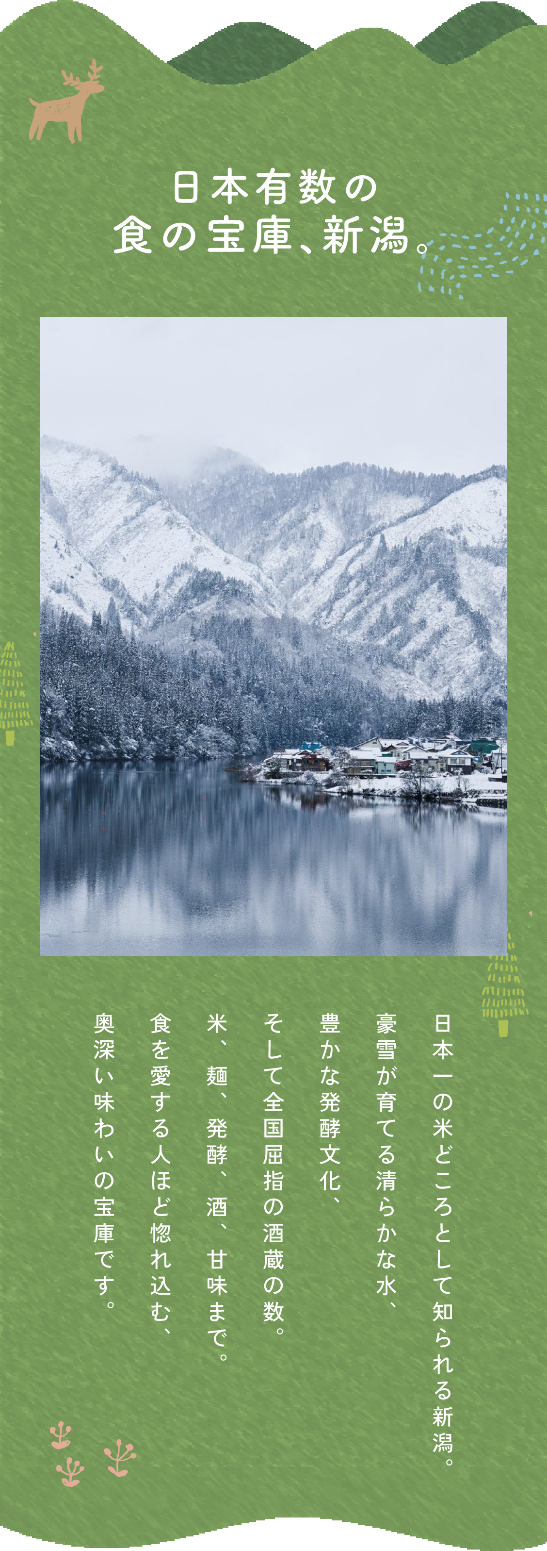 日本有数の食の宝庫、新潟。