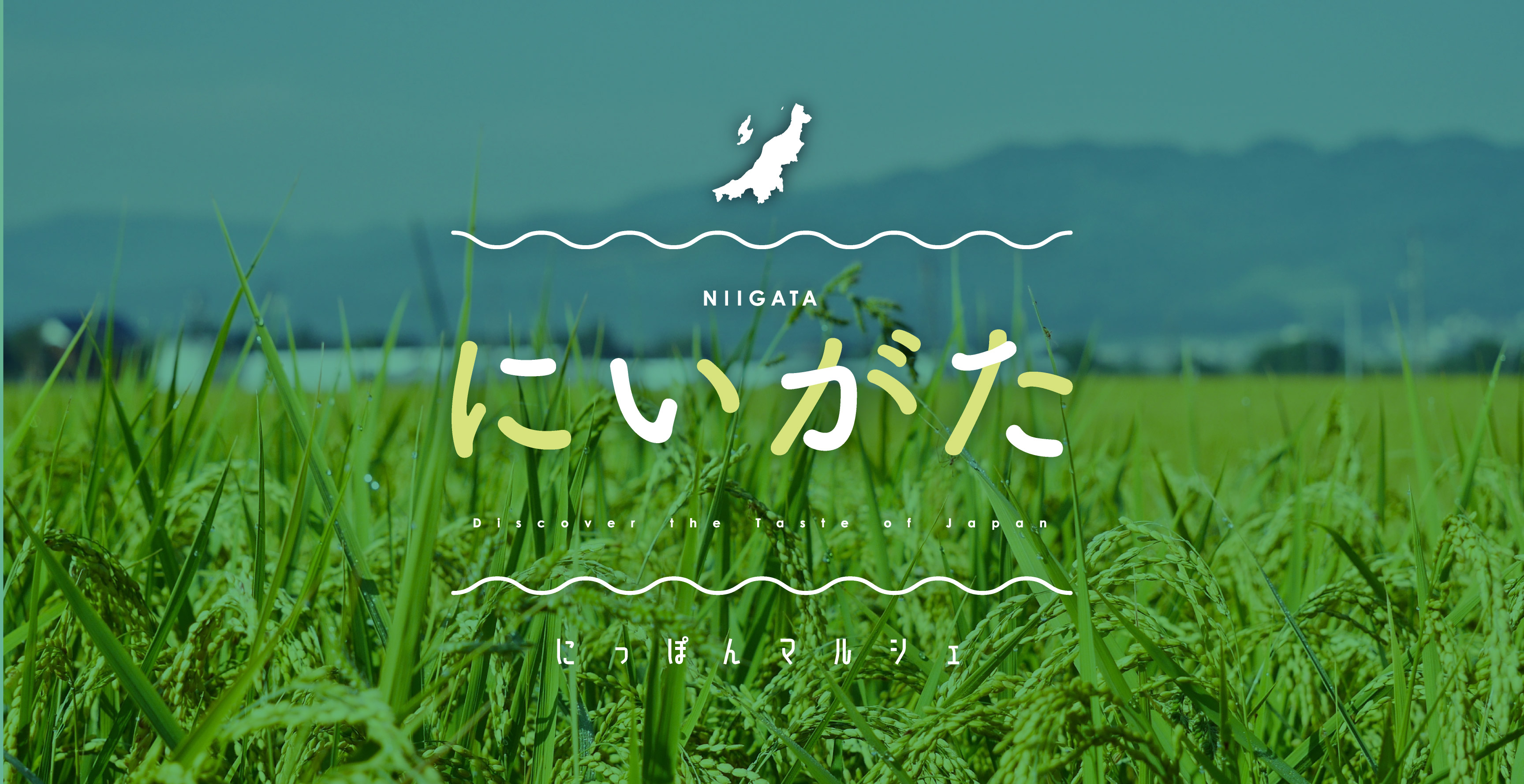 新潟マルシェ開催！