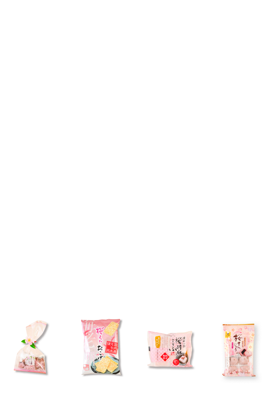 さくらフェア KOTOTOYA Sakura Fair