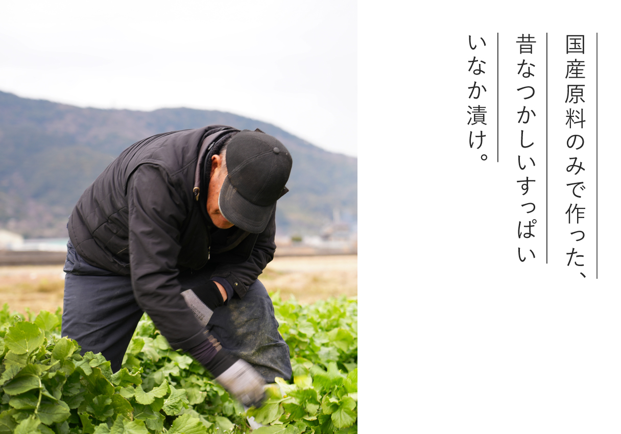 【生産者の声】添加物を一切使わず、国産原料のみで作ったいなか漬け